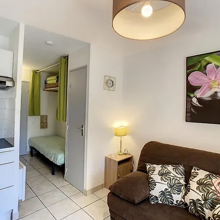 Avec Balcon, Wifi Et Animaux Acceptes - Fr-1-451-217 *